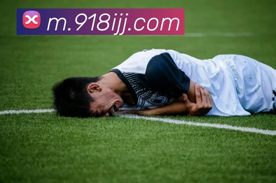 918博天堂APP 封面图